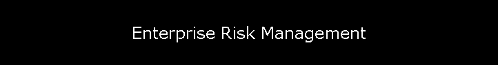 Enterprise Risk Management