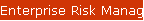 Enterprise Risk Management